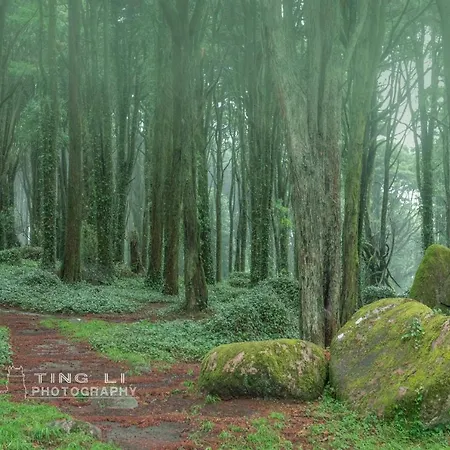 Hotel Casa Do Fotografo